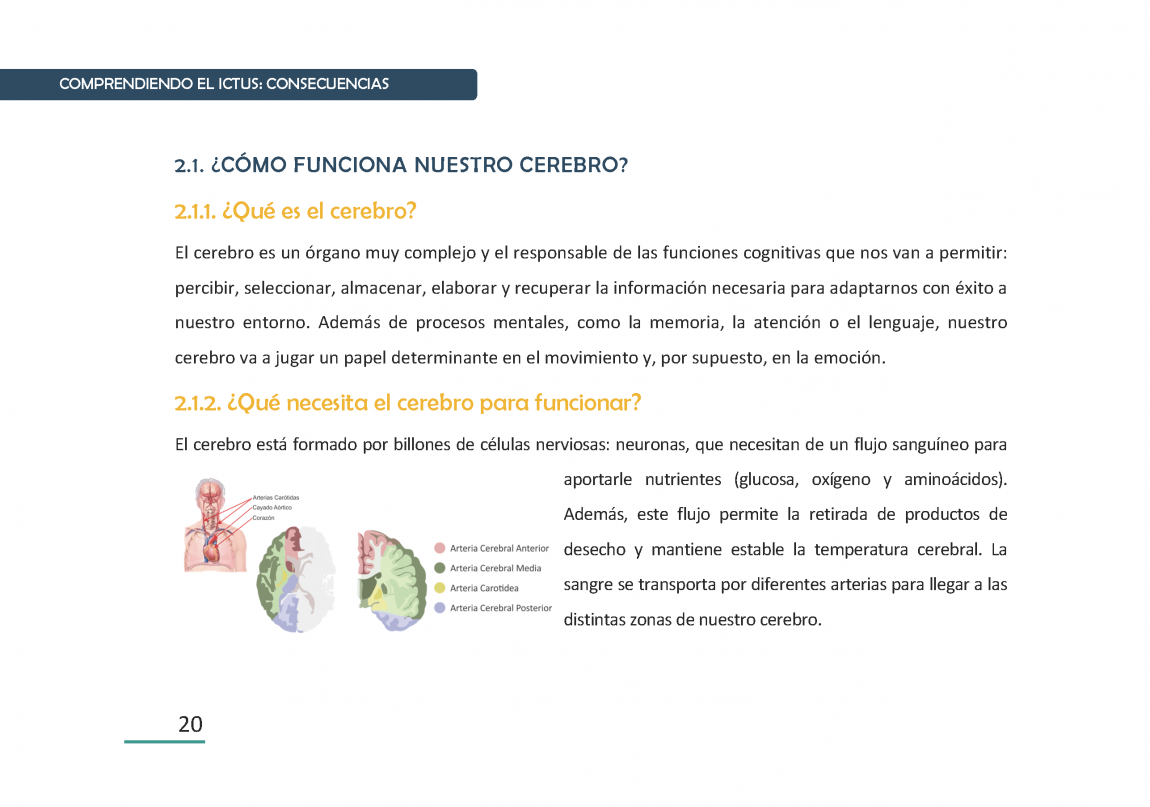 Ictus Guia para Pacientes Página 020