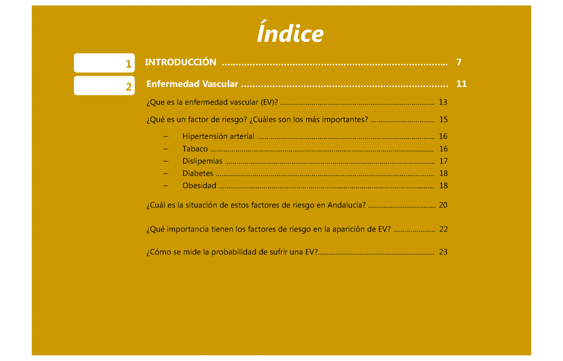 Guia Riesgo vascular1 PÃ¡gina 05