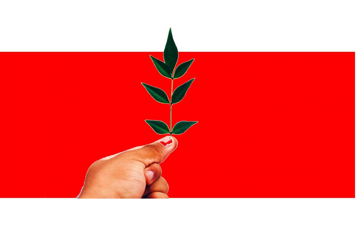ArtritisReumatoide PaÌgina 24
