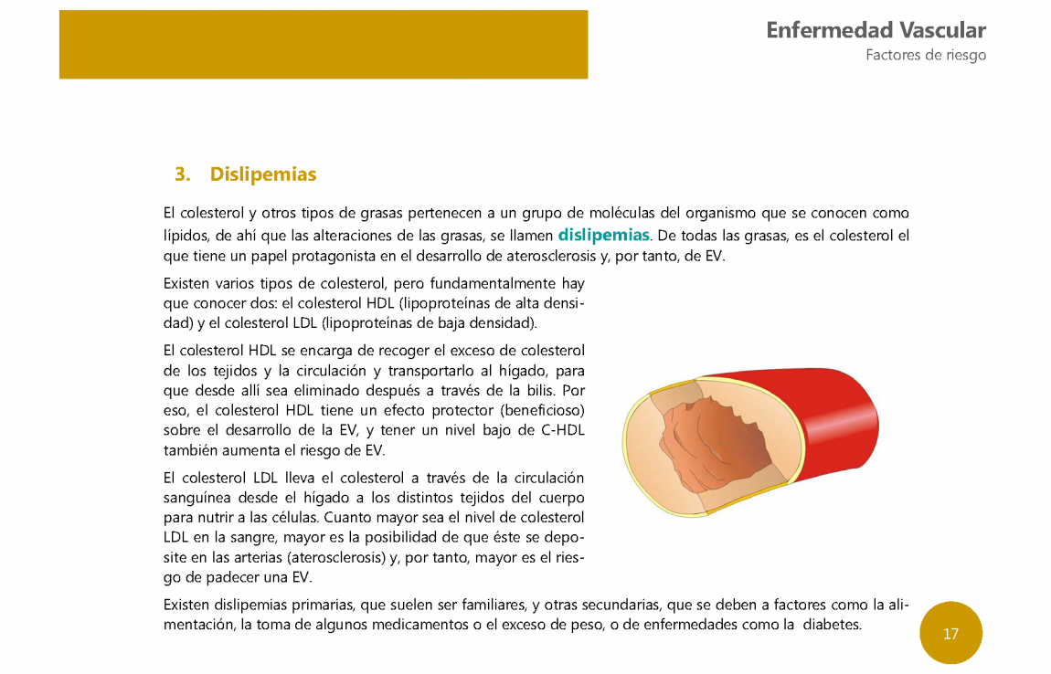 Guia Riesgo vascular1 PÃ¡gina 17