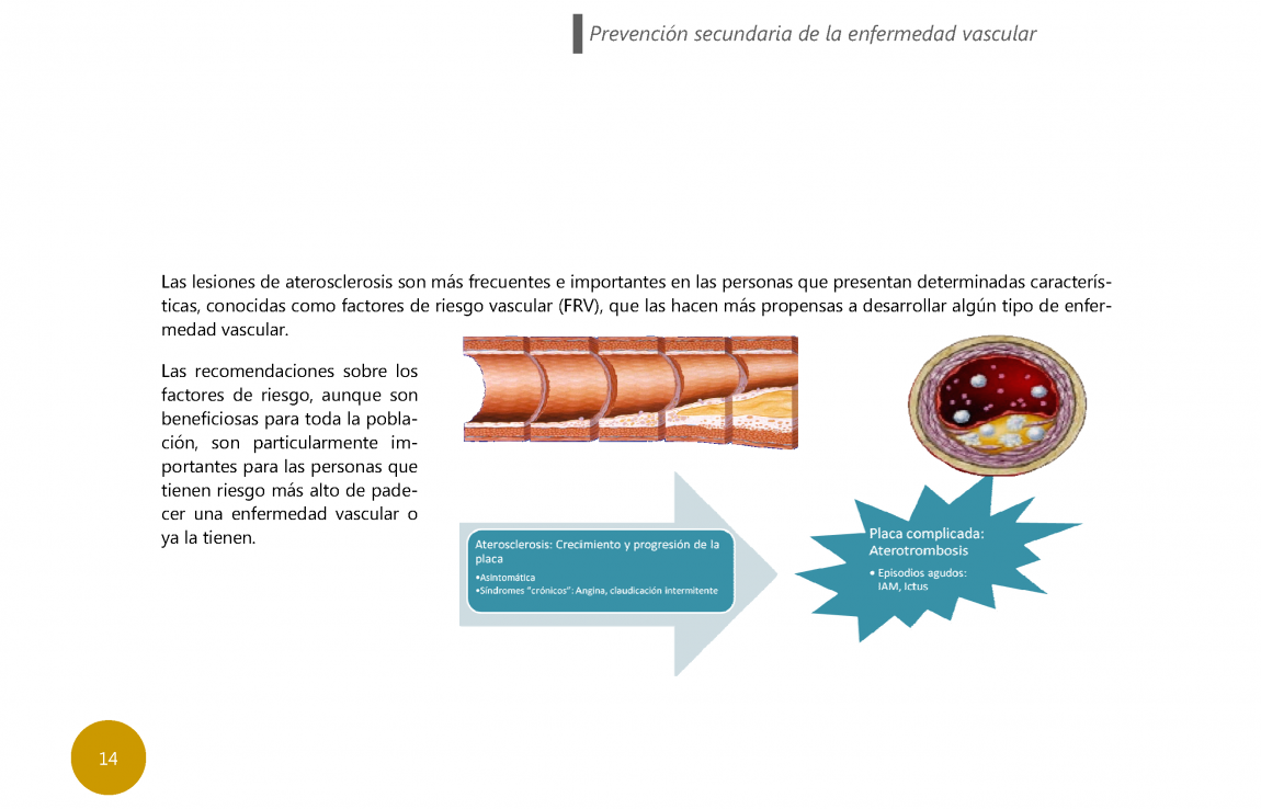 Guia Riesgo vascular1 PÃ¡gina 14