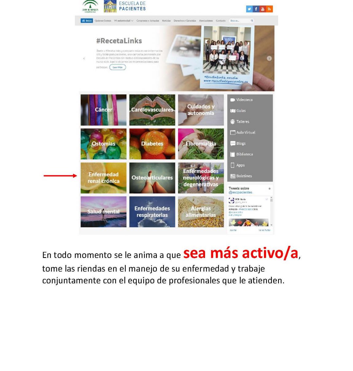 RENAL INFO PACIENTES.v01 PÃ¡gina 03